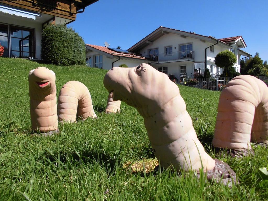 Ferienhaus Koessel Lägenhet Pfronten Exteriör bild